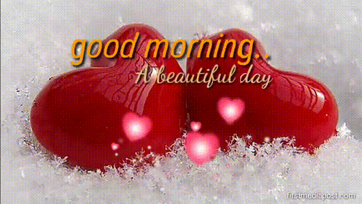 Good morning gif images for whatsapp free download | First Media Post